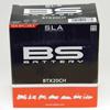 BTX20CH SLA startbereit
