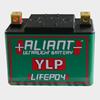 ALIANT LiFePO4 Batterie YLP10