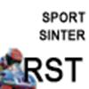 SBS-RACING Bremsklotz RST Sinter